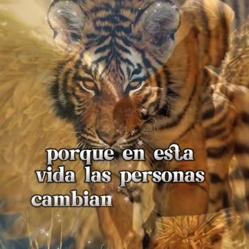 REFLEXIONES 💫 🤍 💫 🤍 💫 🤍