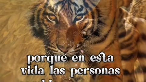 REFLEXIONES 💫 🤍 💫 🤍 💫 🤍