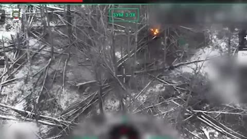 Border guards of the "Steel Border" brigade in the Kursk direction hit an enemy gun, mortar