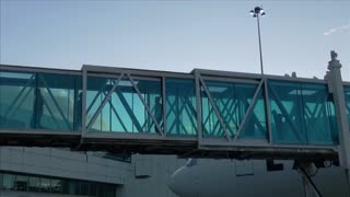 Migrants Returned as Flight From US Lands in Venezuela