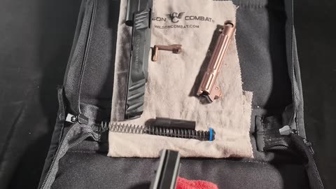 Cleaning Wilson Combat D77 Project 1 ASMR