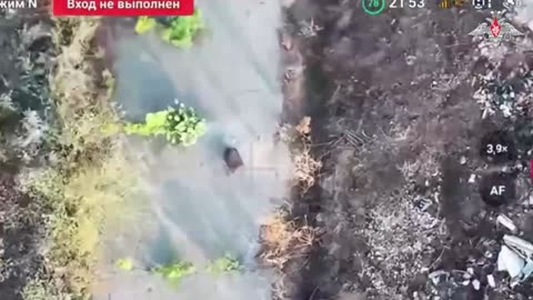 🇷🇺 🏹 🎬 🧨 In the Zaporizhzhia region…