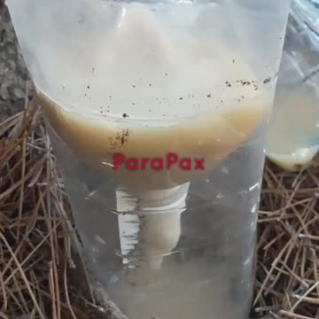 Russian Soldiers Forced to Drink "Pulp Water", Just Like Their Grand Fathers Once Did