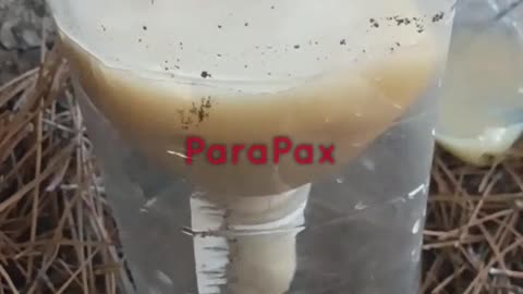 Russian Soldiers Forced to Drink "Pulp Water", Just Like Their Grand Fathers Once Did