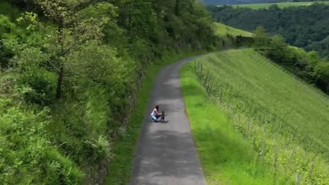 Dein Hund begleitet dich auf einem Teil deines Lebensweges - aber für ihn bist du sein ganzes Leben.