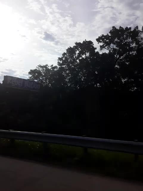 signs signs #rebelnation