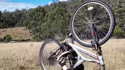 How Animals Ride Bike #giraffe #giraffevselephant #elephant #shorts