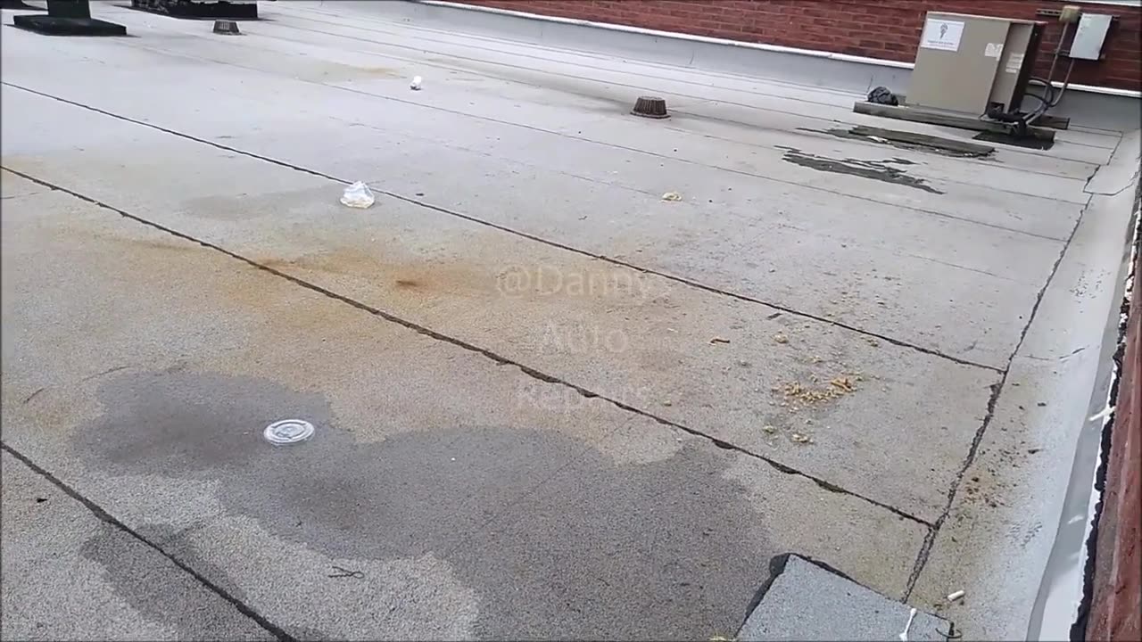 NYC Migrants Are Peeing In Ziploc Sandwich Bags And Throwing It Out Of The Shelter window