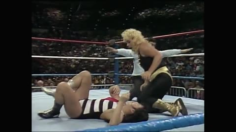 Survivor Series 1987