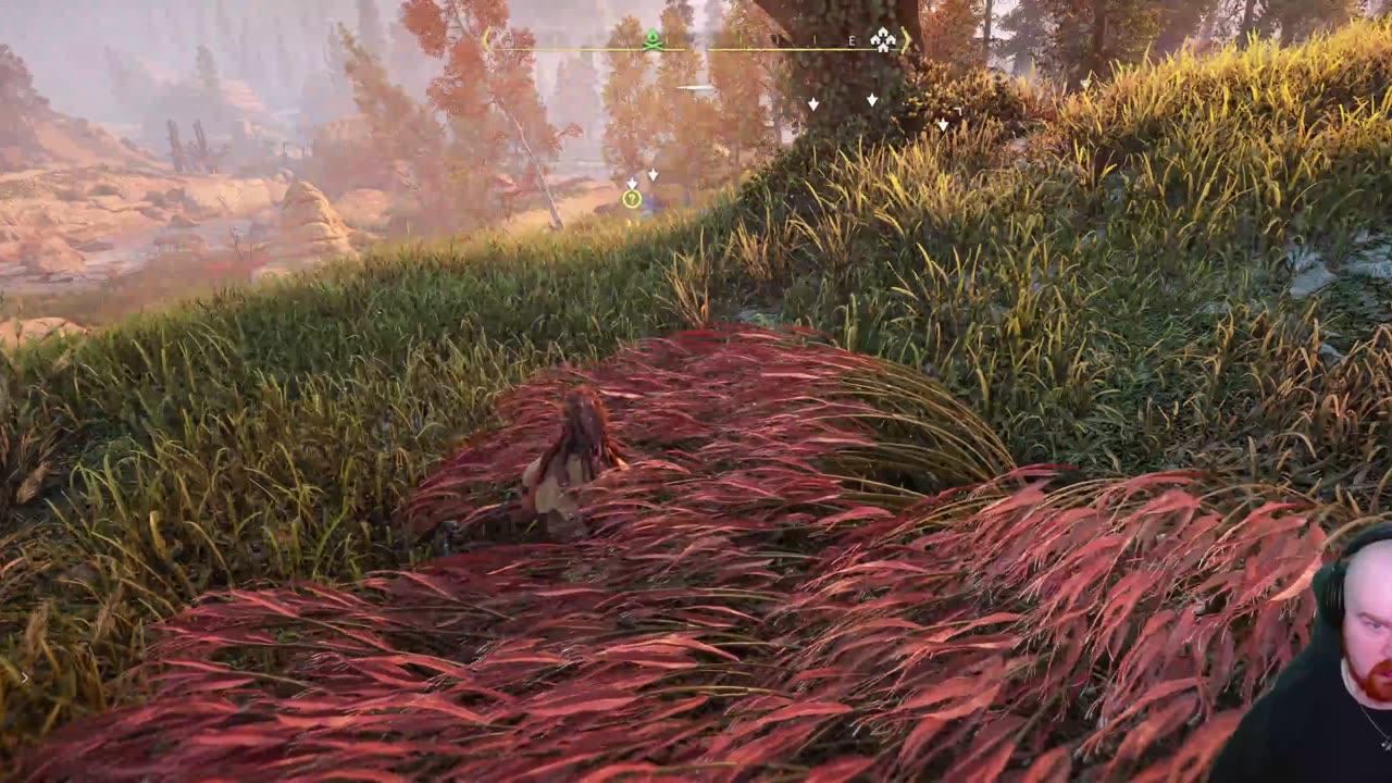 Horizon Zero Dawn Remastered Playthrough