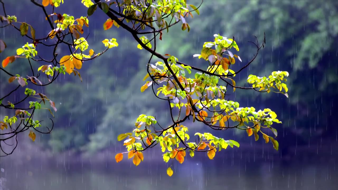 Mesmerizing Waterfall Sounds – Nature's True Music