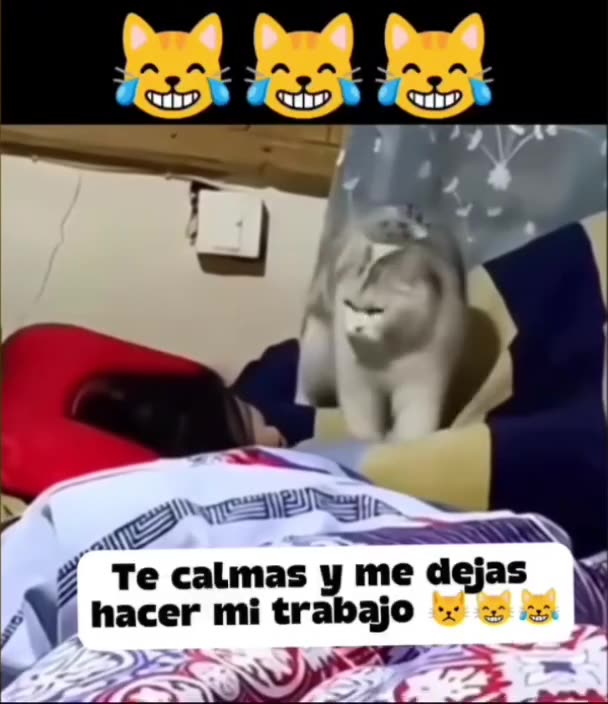 You will accept my love even if you hate it