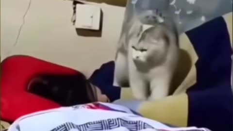 You will accept my love even if you hate it