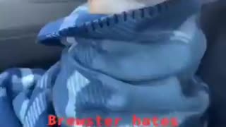 Too Cold