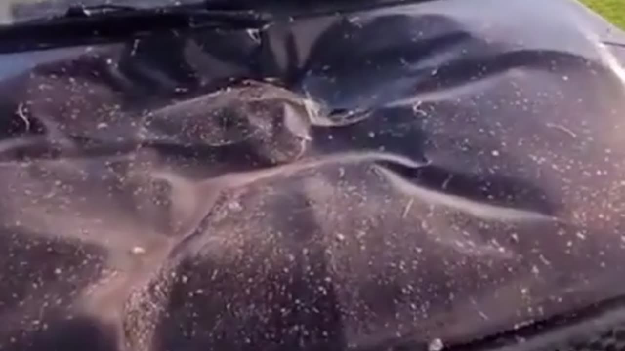 🤯🔥 Russian Dudes with Explosives... Wait for It! | FunFM