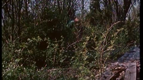 Saltkråkan 1963 d1e3