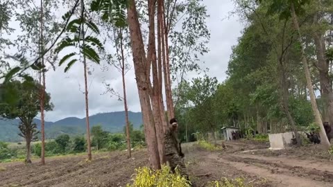 🎥🔥 Myanmar Conflict | New POV Captures Rebel Attack on Junta Forces in Thaybawboe | RCF