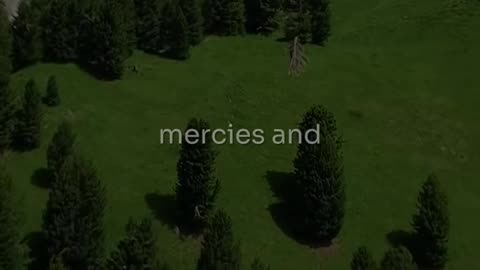 🙏❤️ Today's Prayer | Seek God's Presence & Share Your Heart | InGodWeTrustDaily