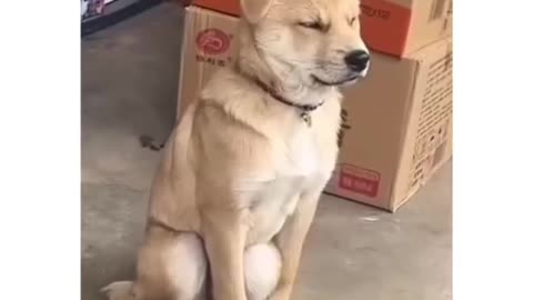Sleeping mood