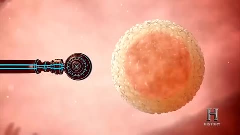 TECHNOLOGY The Next Humans