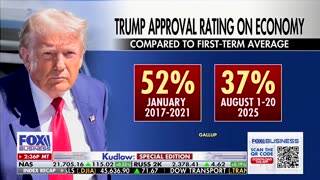 Newt Gingrich Says Trump's Economic Approval Numbers Hinge On One Thing