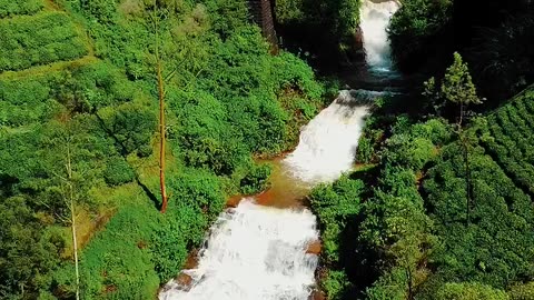 Journey through the paradise island of Sri Lanka