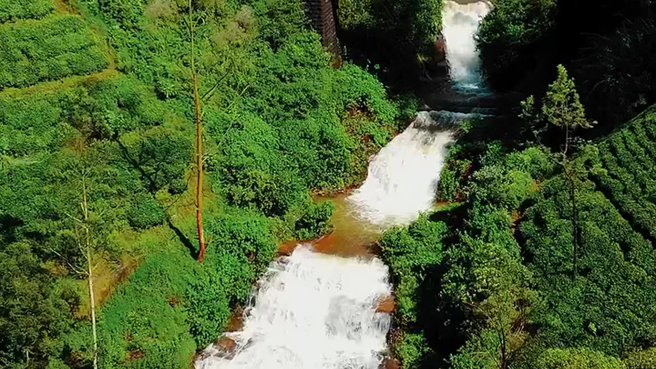 Journey through the paradise island of Sri Lanka