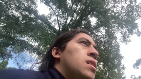 Follow your instinct by Ed Delacruz #health #healthy #healthadvice #reels #shorts