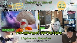 Psychedelic Reporters Ep187 Fnal show for 2025