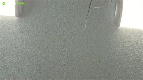 painting the frog room/attic