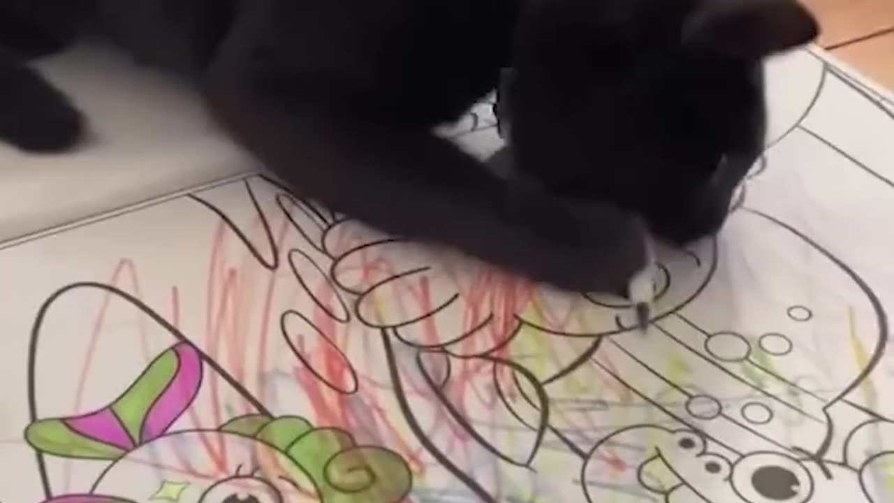 #07 "Ninja Cat! He Disappears in Seconds!"