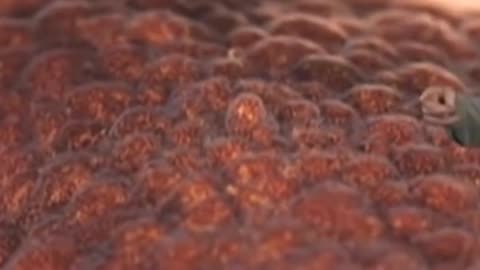 The craziest UFO story a Stanford Professor has ever heard.