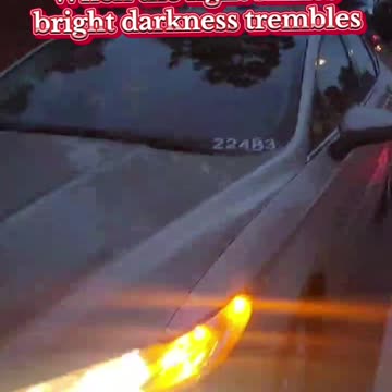 Child Trafficking ⚠️ San Diego County Child Predator Services hunting newborns!