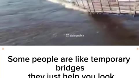 Fly with Your Wings., Not on Bridges!