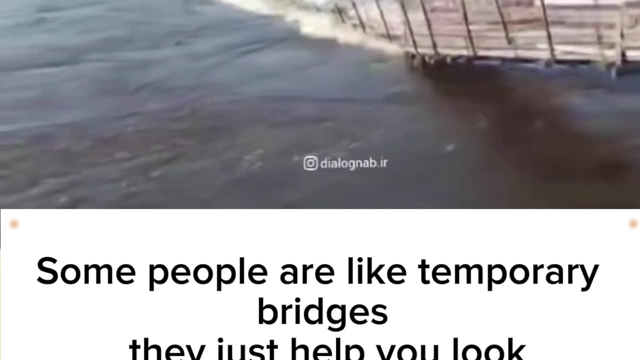 Fly with Your Wings., Not on Bridges!