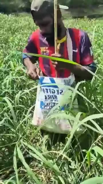 Amazing Snakehead Fish Archery Trick – You Won’t Believe This!