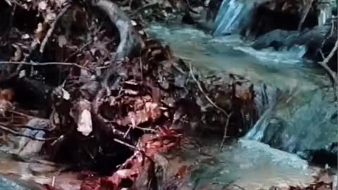 Quiet and relaxing moment with small mountain stream