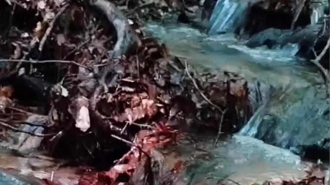 Quiet and relaxing moment with small mountain stream