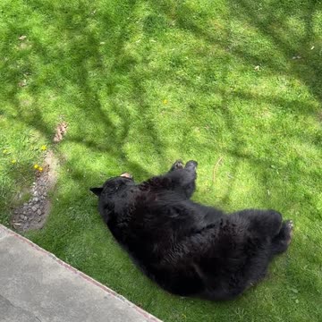 Mid day naps are very rejuvenating