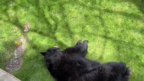 Mid day naps are very rejuvenating