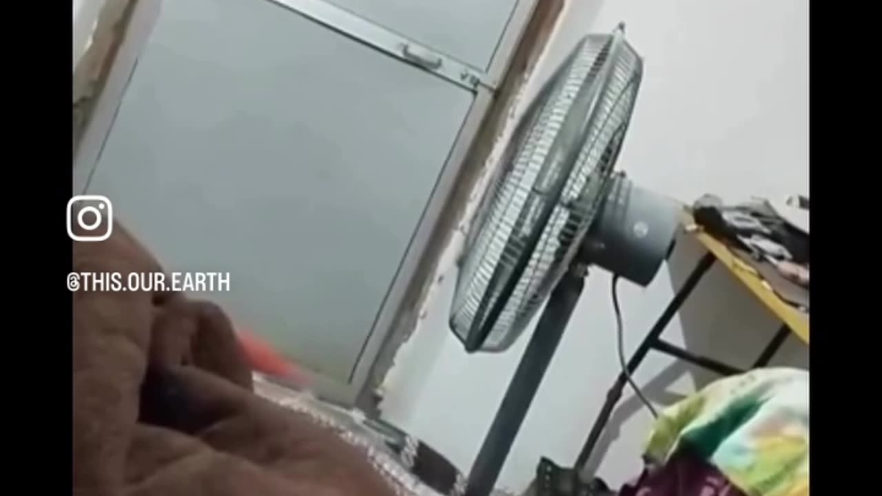Snake silently enter a house