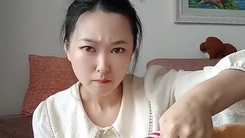 Funny Animal Videos
