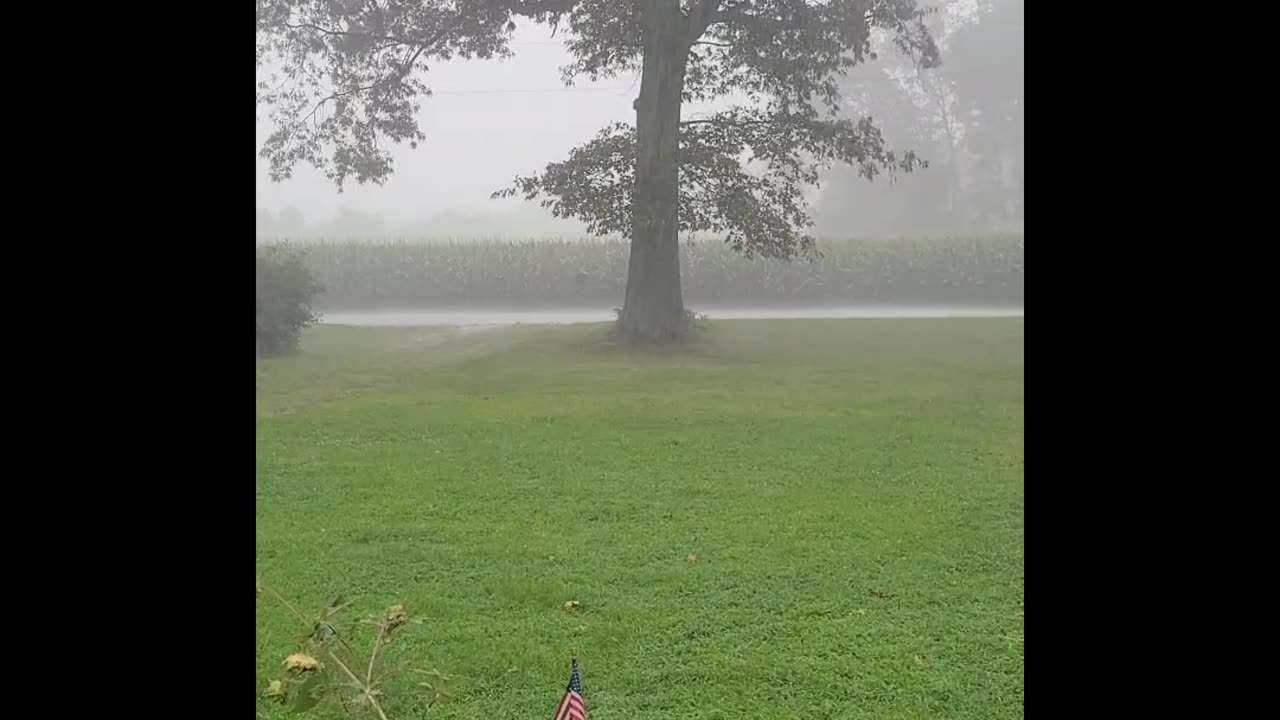 A Summer Mood