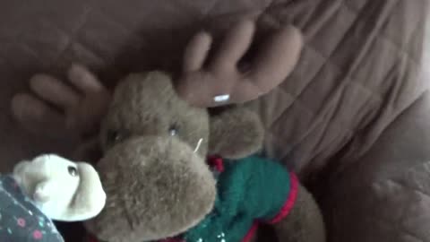 Mooseface Season 9: Episode 17
