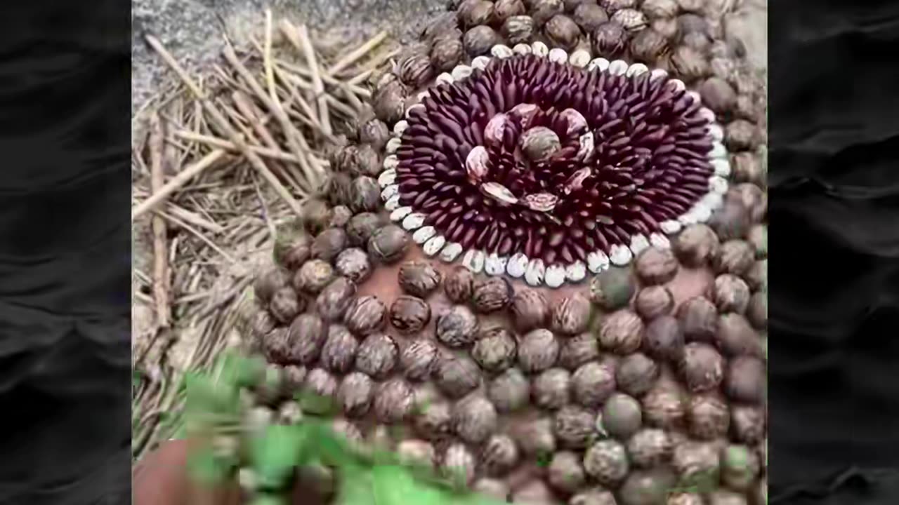 😱👻 Wait For The End... Creepy Paranormal Video | TheHauntingHour