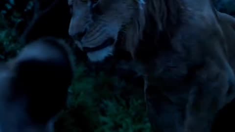 Mufasa 😍❤️ (Part - 44).....#reels #viralreels #reel #mufasa #animation #lastest #romantic #viralreel