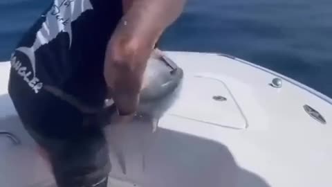 🌊👽 Atlantis is Calling! My People Need Me! | FunFM