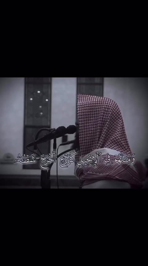 محمد رسول الله❣