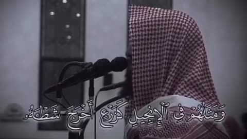 محمد رسول الله❣