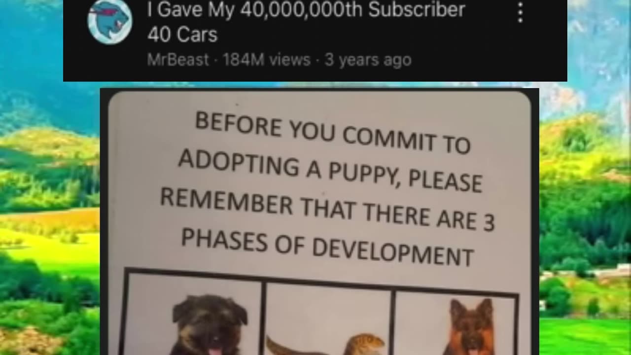 Memes of the day | funny memes | #funny